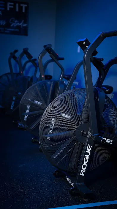 Motive Fit Picture 8