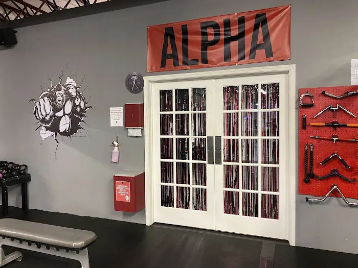 Alpha Fitness Club Picture 6