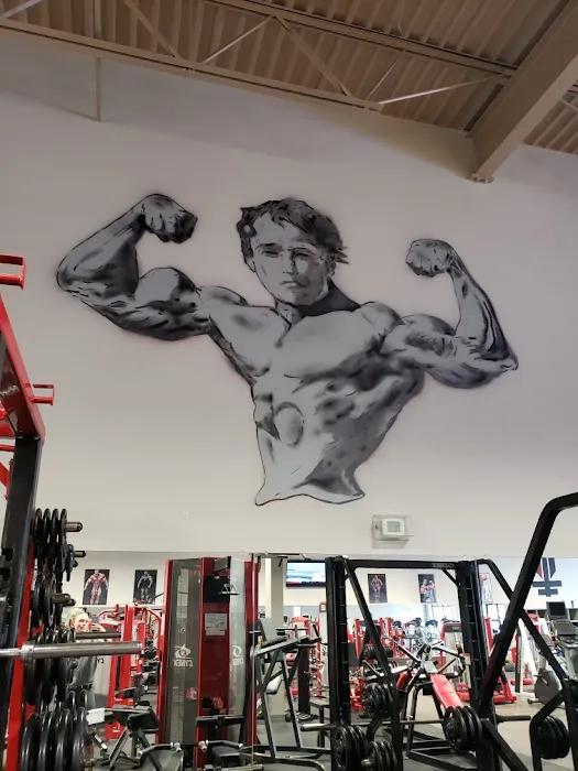 Flex Fitness Picture 2