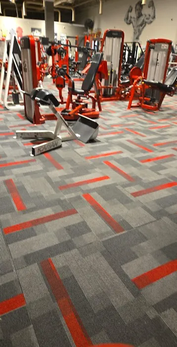 Flex Fitness Picture 1