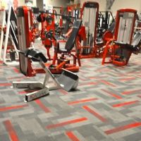 Flex Fitness ico
