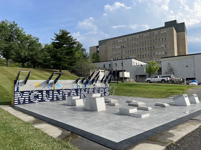 Fitness Court Outdoor Gym at West Virginia University Picture 3