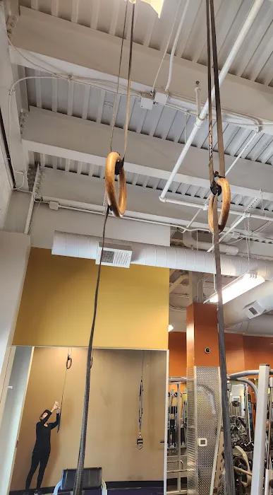 Anytime Fitness Picture 8