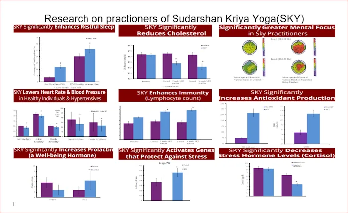 Happiness Program & SKY Yoga, Art Of Living Introduction Picture 1