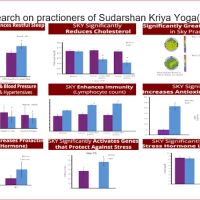 Happiness Program & SKY Yoga, Art Of Living Introduction ico