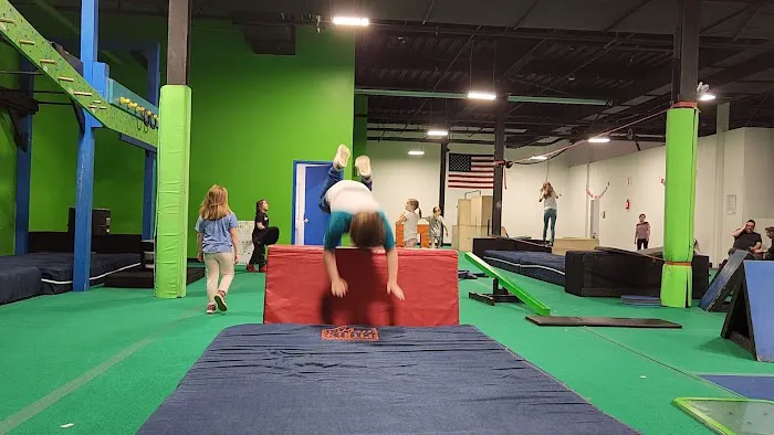 Albany Ninja Lab Picture 6