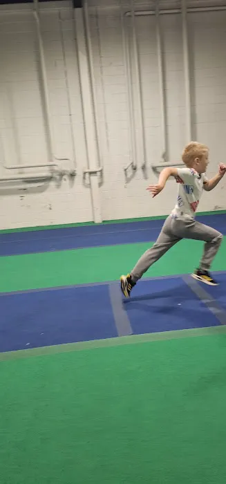 Albany Ninja Lab Picture 1