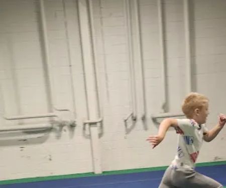Albany Ninja Lab