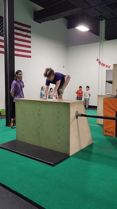 Albany Ninja Lab Picture 9