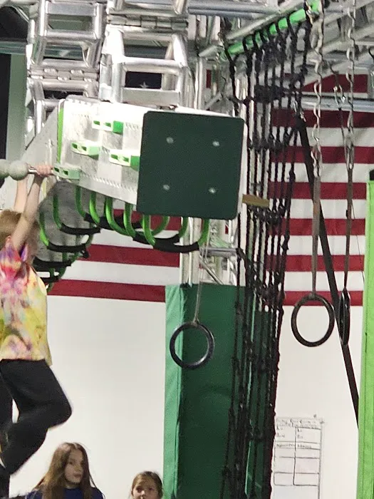Albany Ninja Lab Picture 7