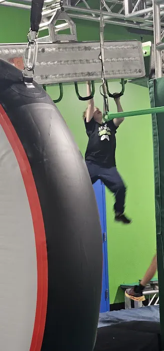 Albany Ninja Lab Picture 4