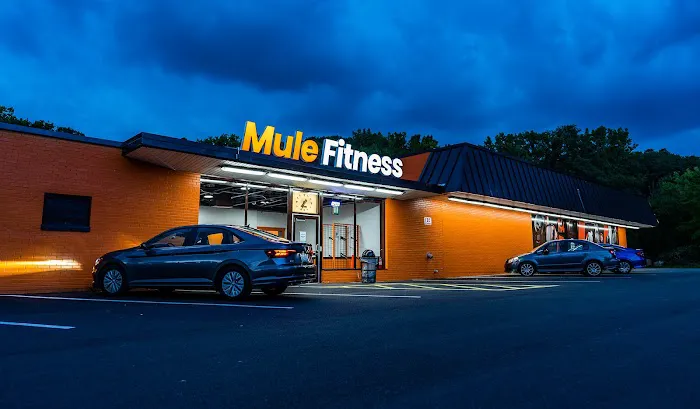 Mule Fitness Picture 10