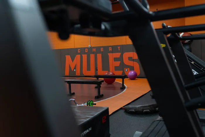 Mule Fitness Picture 8