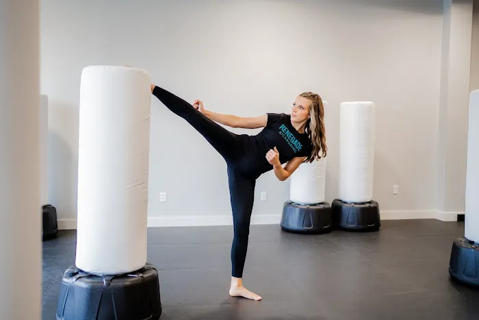 Renegade Kickboxing LLC Picture 2