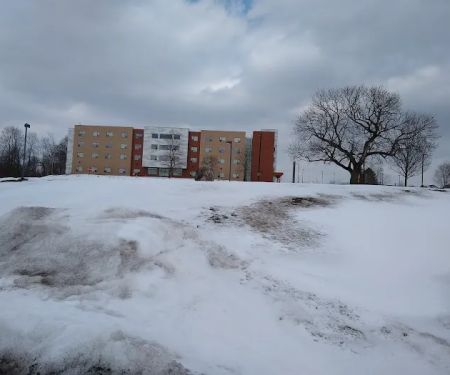 Wildcat Field House