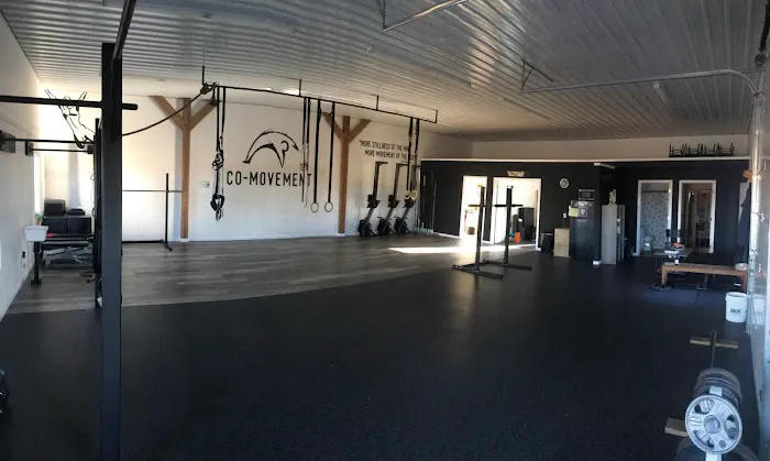 Co-Movement Gym Picture 2
