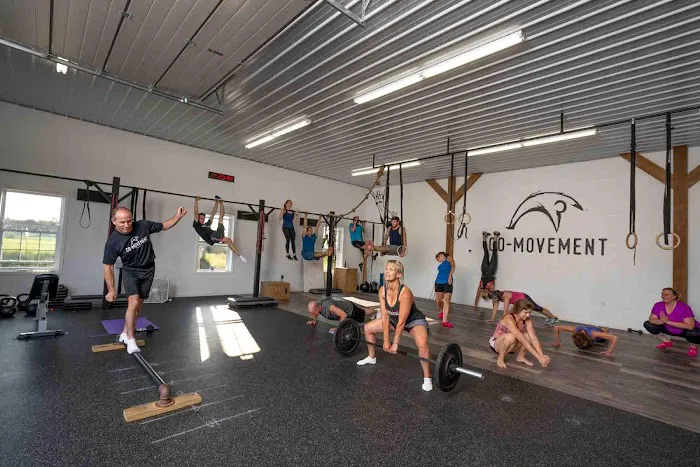 Co-Movement Gym Picture 4