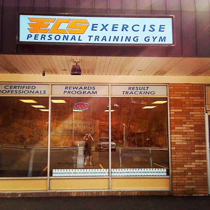 ECS Exercise Personal Training Gym Picture 9