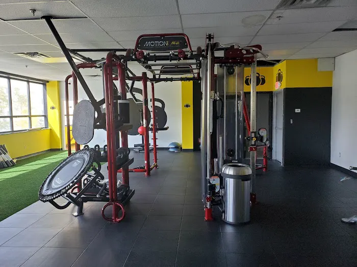 Wild Blast Fitness Picture 8