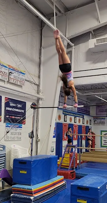 Gymnastics City Picture 2