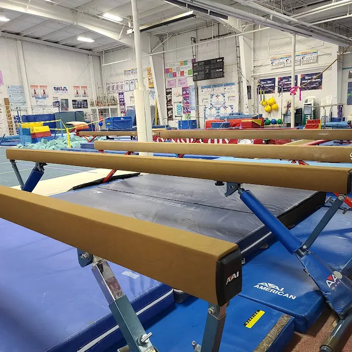 Gymnastics City Picture 9