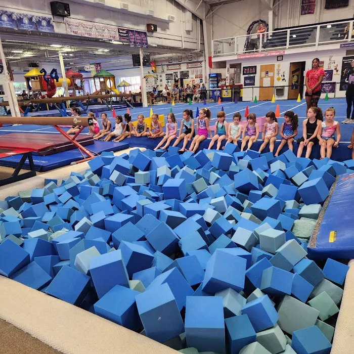 Gymnastics City Picture 10