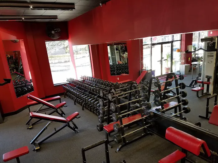 Discipline Training Studio Picture 8