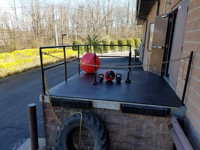 Discipline Training Studio Picture 6