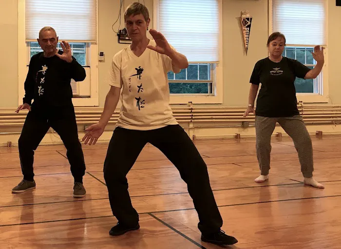 Tai Chi with Berit Schumann Picture 4