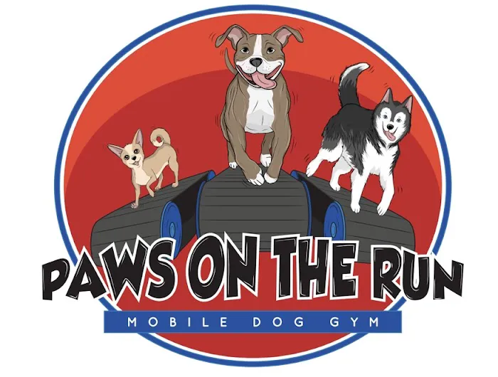 Paws on the Run Picture 1
