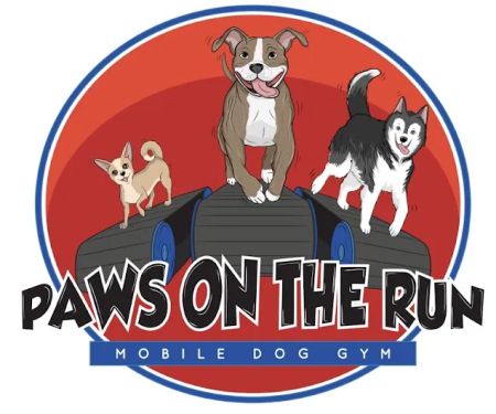 Paws on the Run