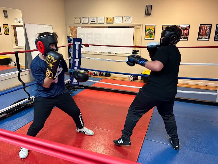 Hudson Valley Martial Arts and Boxing Academy Picture 2