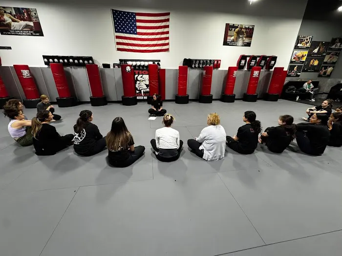 Tiger Schulmann's Martial Arts (Nanuet, NY) Picture 8