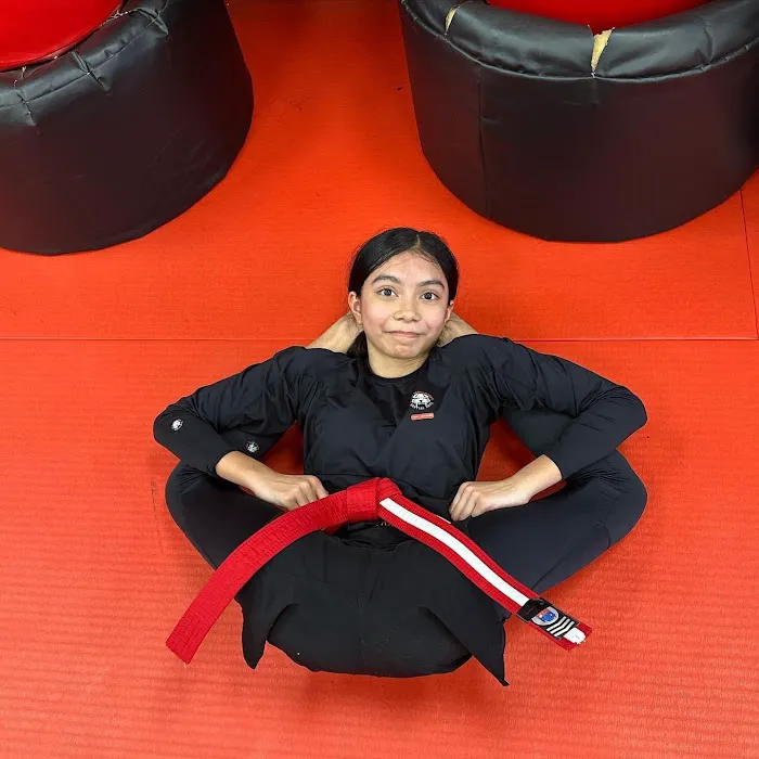 Tiger Schulmann's Martial Arts (Nanuet, NY) Picture 7