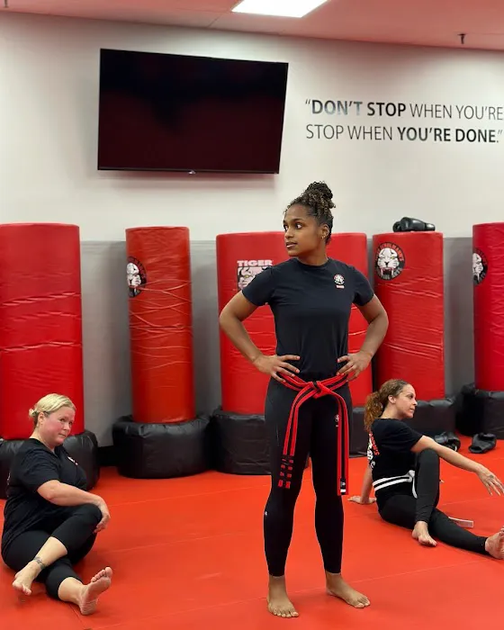 Tiger Schulmann's Martial Arts (Nanuet, NY) Picture 3