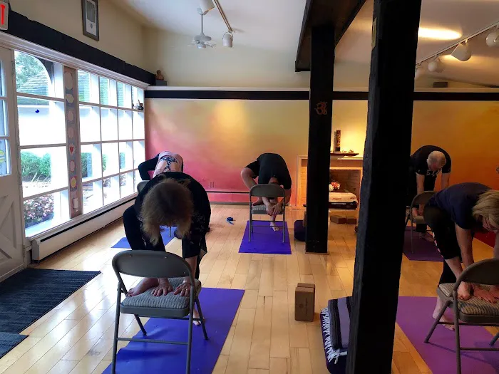 Shree Yoga Studios Picture 9