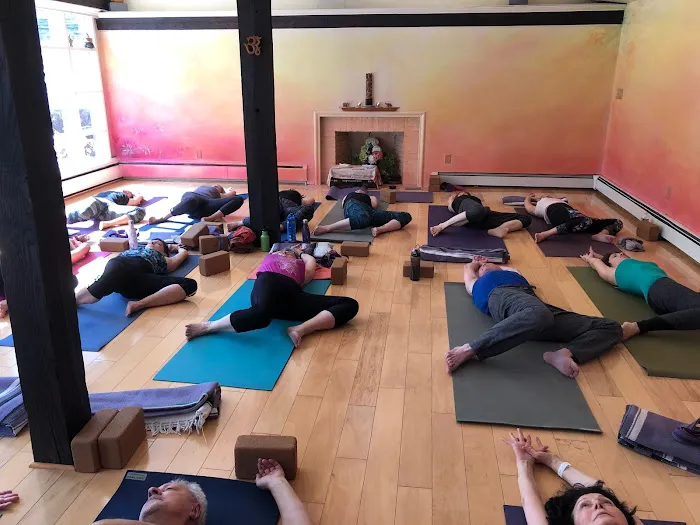 Shree Yoga Studios Picture 4