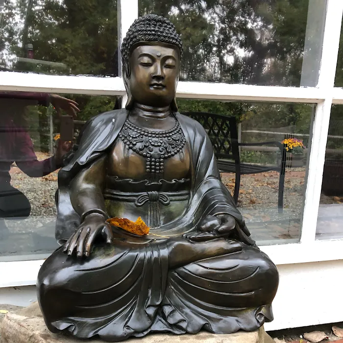 Shree Yoga Studios Picture 10
