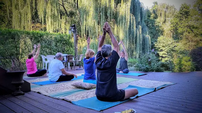 Willow Tree Yoga Picture 3