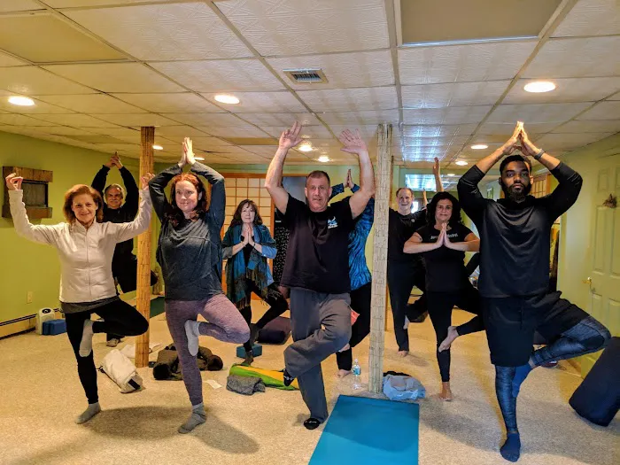 Willow Tree Yoga Picture 7
