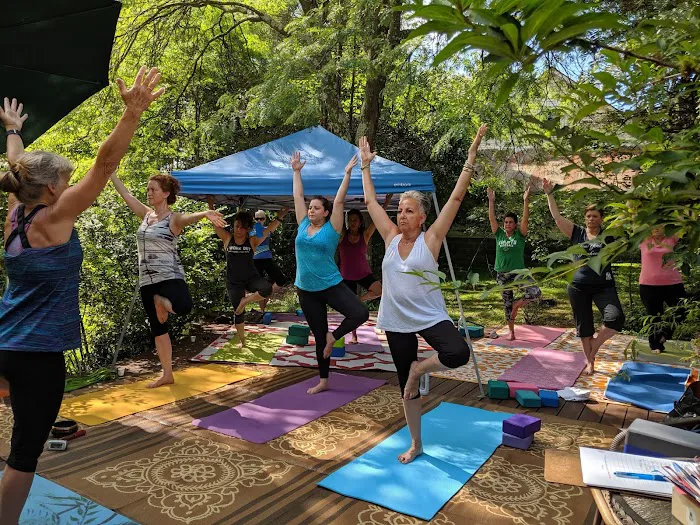 Willow Tree Yoga Picture 4