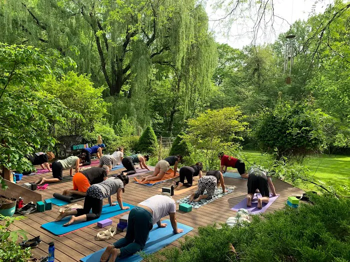 Willow Tree Yoga Picture 2