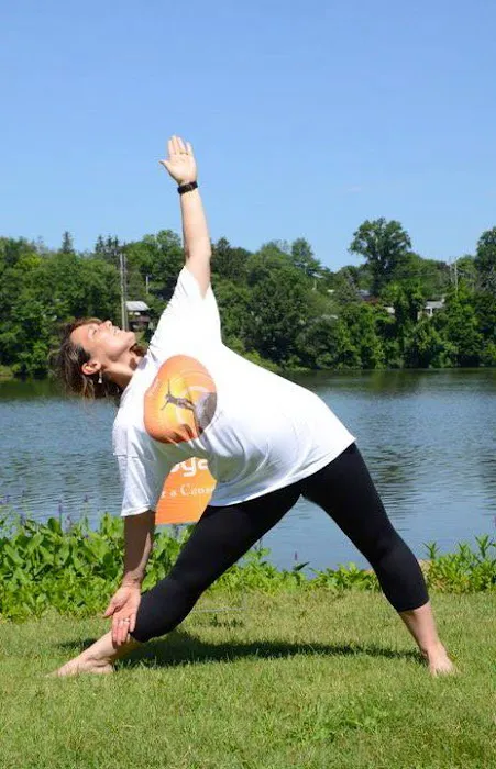 Willow Tree Yoga Picture 6