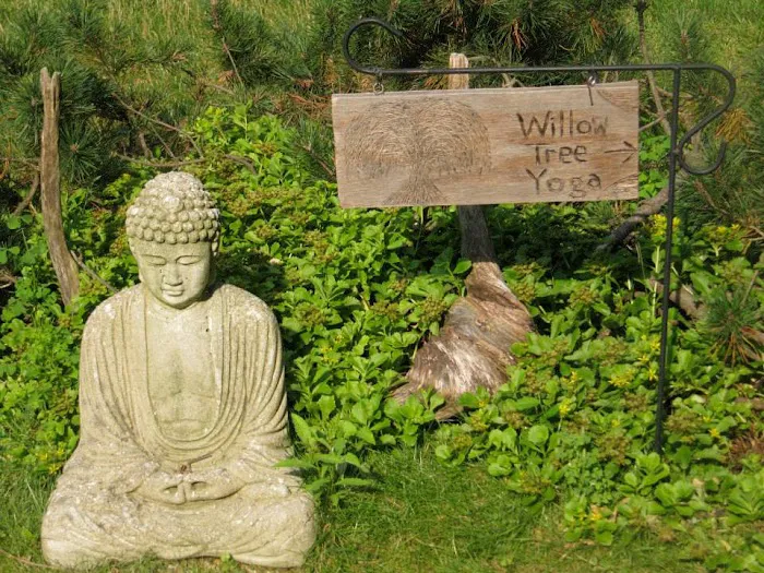 Willow Tree Yoga Picture 8