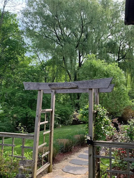 Willow Tree Yoga Picture 10