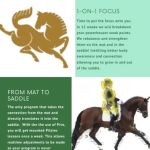 Pilates In Motion LLC