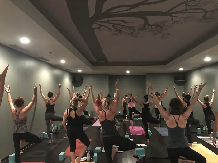 Flow Yoga Studio Picture 9