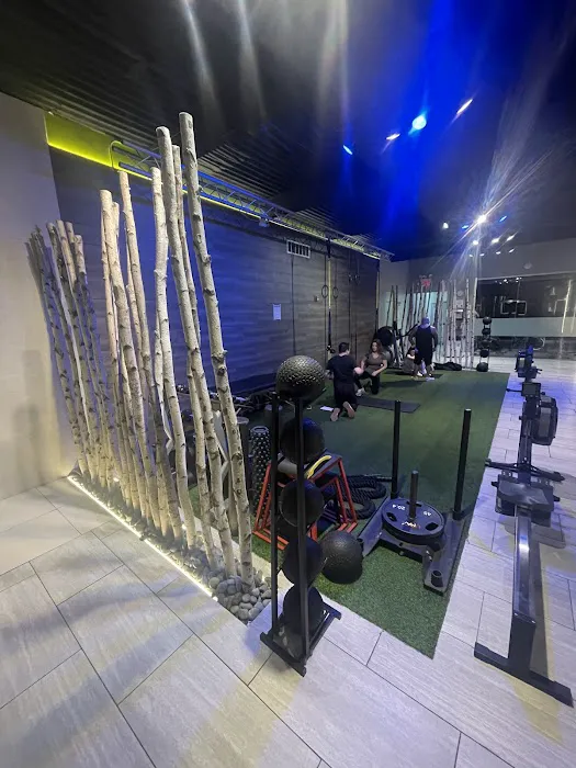 Muscle Up Gym Picture 8