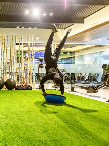 Muscle Up Gym Picture 5