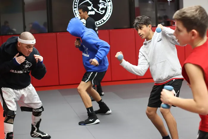 Bars Boxing Picture 2